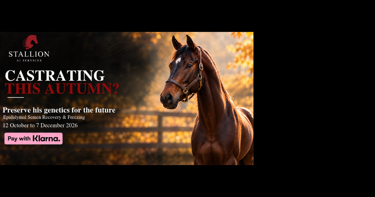 CASTRATING THIS AUTUMN?  Preserve his genetics for the future